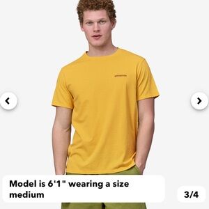 NWT Patagonia Adult Fitz Roy Icon Responsibili-Tee T-Shirt. Men's Size XXL.